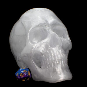 A white crystal skull next to a purple 20-sided dice.
